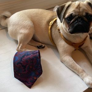 Polo Ralph Lauren Tie Paisley VTG Vintage EUC USA Pug Not Included